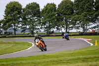 Middle Group Orange Bikes